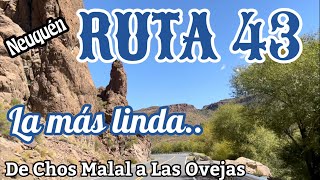 Ruta 43 | Neuquén | Chos  Malal | Andacollo | Las Ovejas | en moto por Argentina