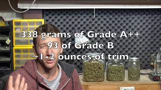 Educational artistic documentary: One Light, One Plant Yield | Legal Medical Grow