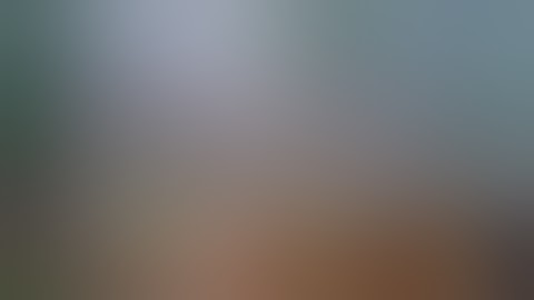 Trees Falling Compilation #2 No Music