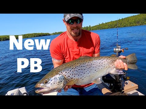 Brown Trout Fishing