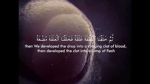 ولقد خلقنا الإنسان من سلالة من طين | القارئ إدريس بكر❤️❤️