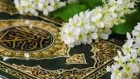 ففتحنا أبواب السماء بماء منهمر وفجرنا الارض عيونا | من الروائع المنشاوي| سورة القمر