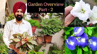 Garden Vlog part 2, गर्मियों से पहले गर्मियों के पौधों का हाल