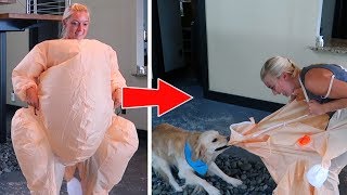 DOGS FREAK OUT OVER TURKEY SUITS (Thanksgiving SCS #170)
