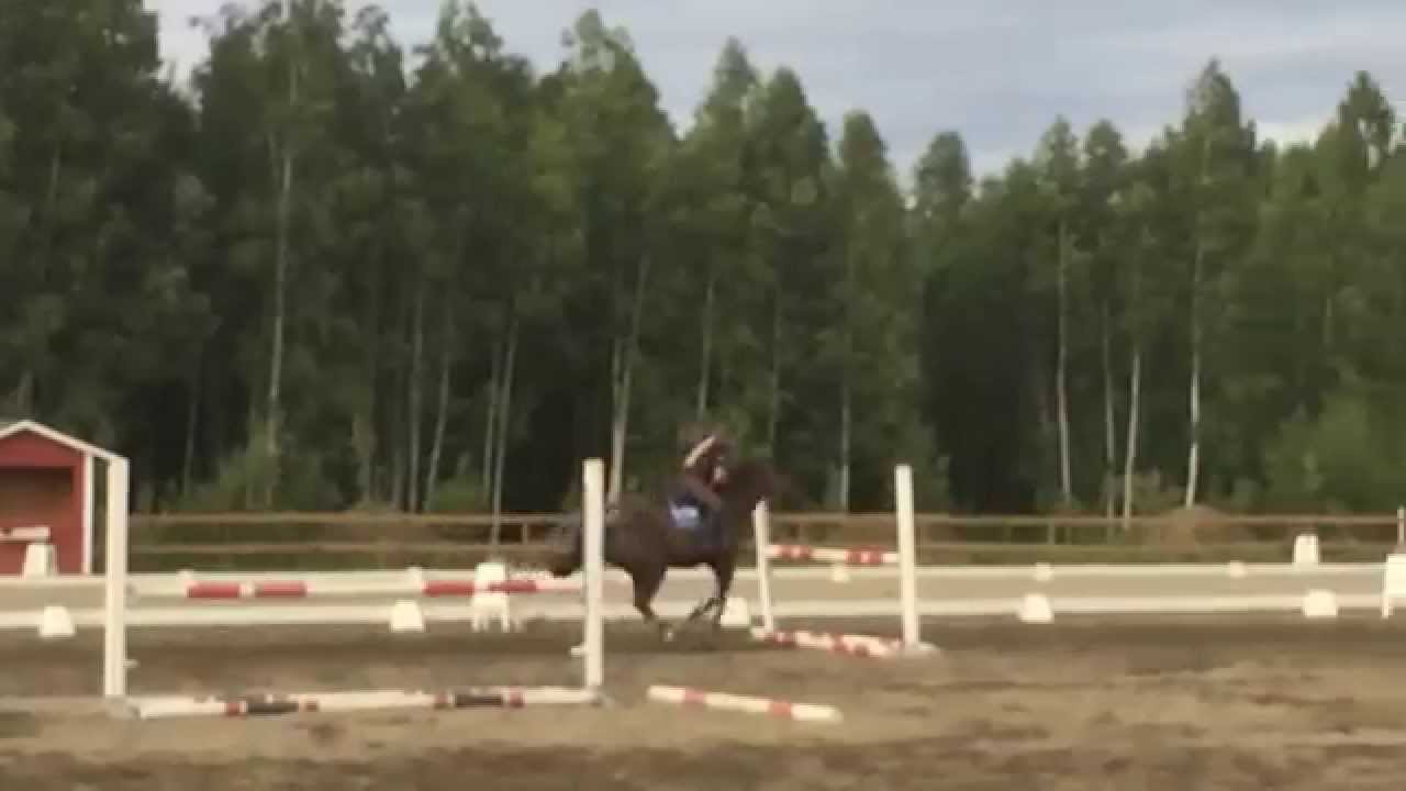 Woody og Iselin. Danka trening 17 juni 2014