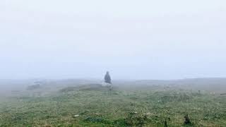 Asxia - ASTRAY