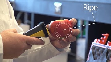 Sweet Science: A New Device for Checking Apple Ripeness