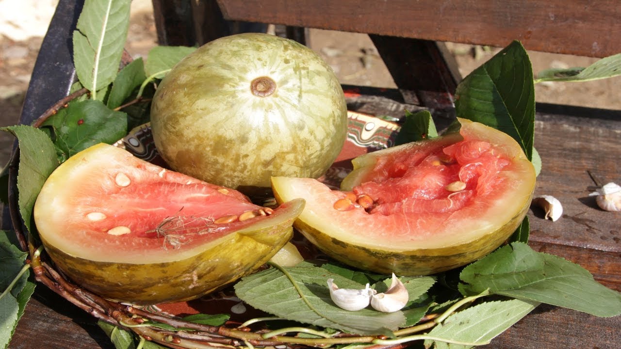 Туршия от диня - документална кулинария от с.Калипетрово