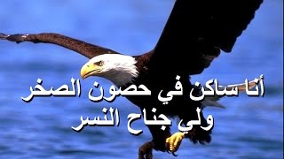 متعلمتش اعيش وانا خايف المرنم مجدى عيد chords