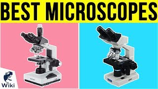 10 Best Microscopes 2019