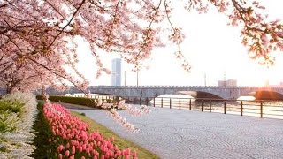 【まきのめぐみ】おばちゃんが歌う　心のままに ＜歌詞付き＞