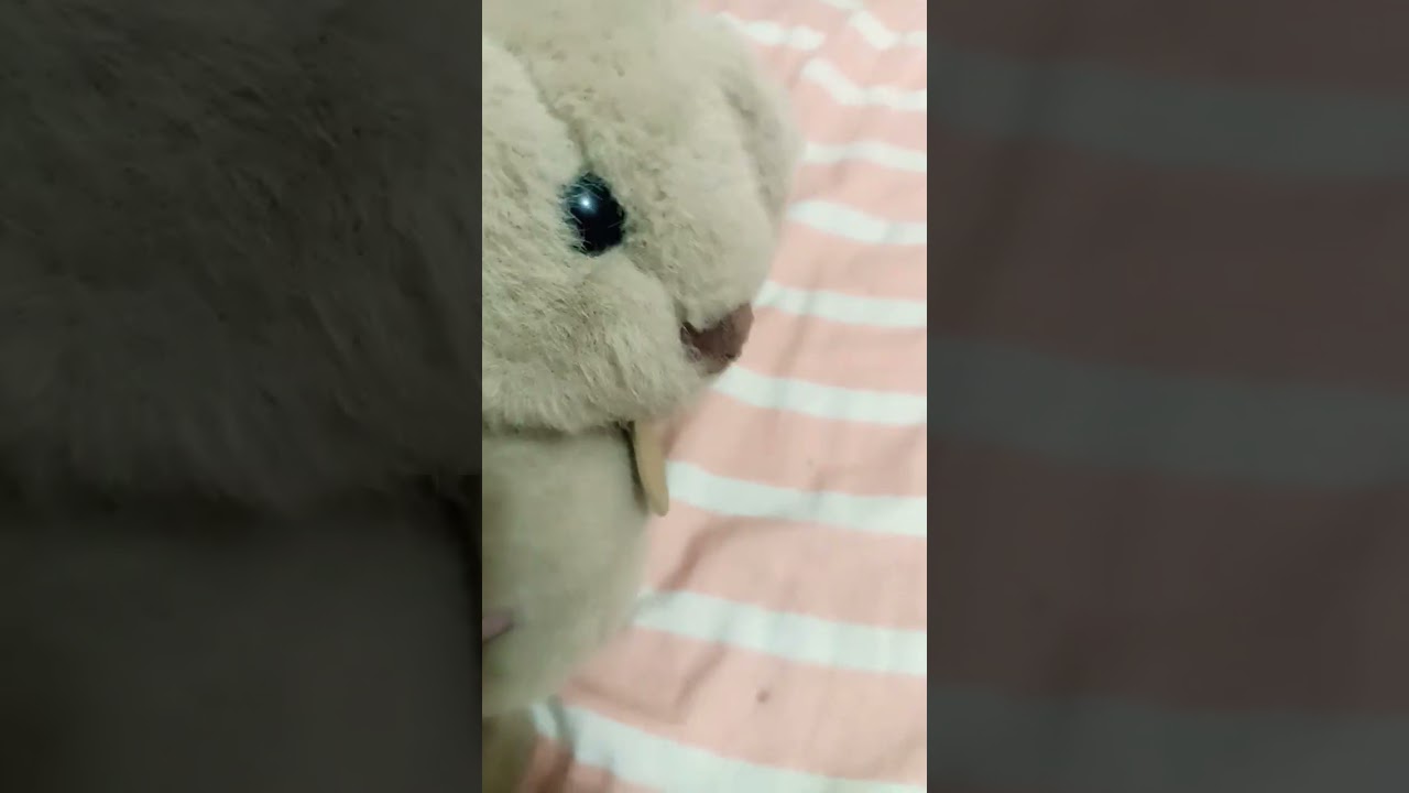 ya no hay nada que podamos hacer