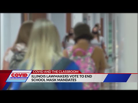 Illinois school mask mandate suspended after committee ruling