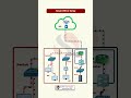 Small Office Network Setup Explained | Networking Basics