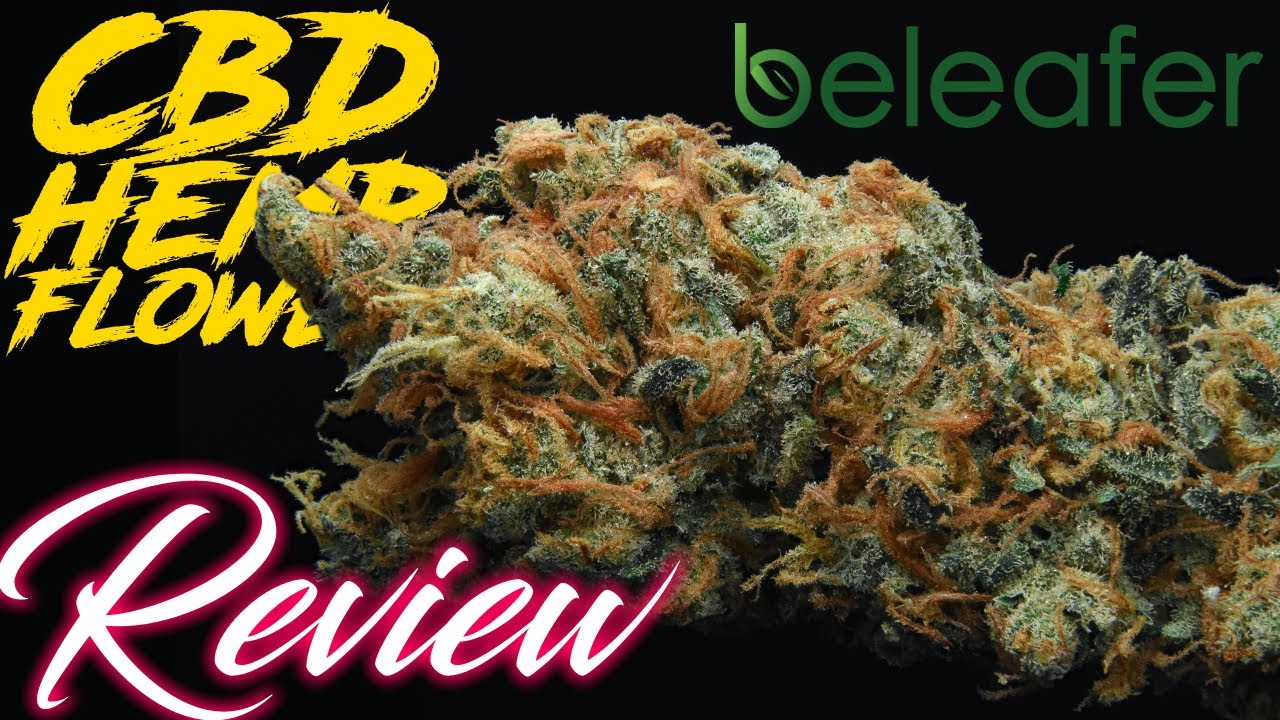 Chocoberry OG.. Some New New from Beleafer | CBD Hemp Flower Review