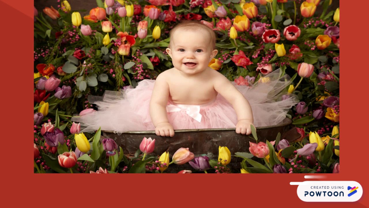 Wedding Photography Saskatoon