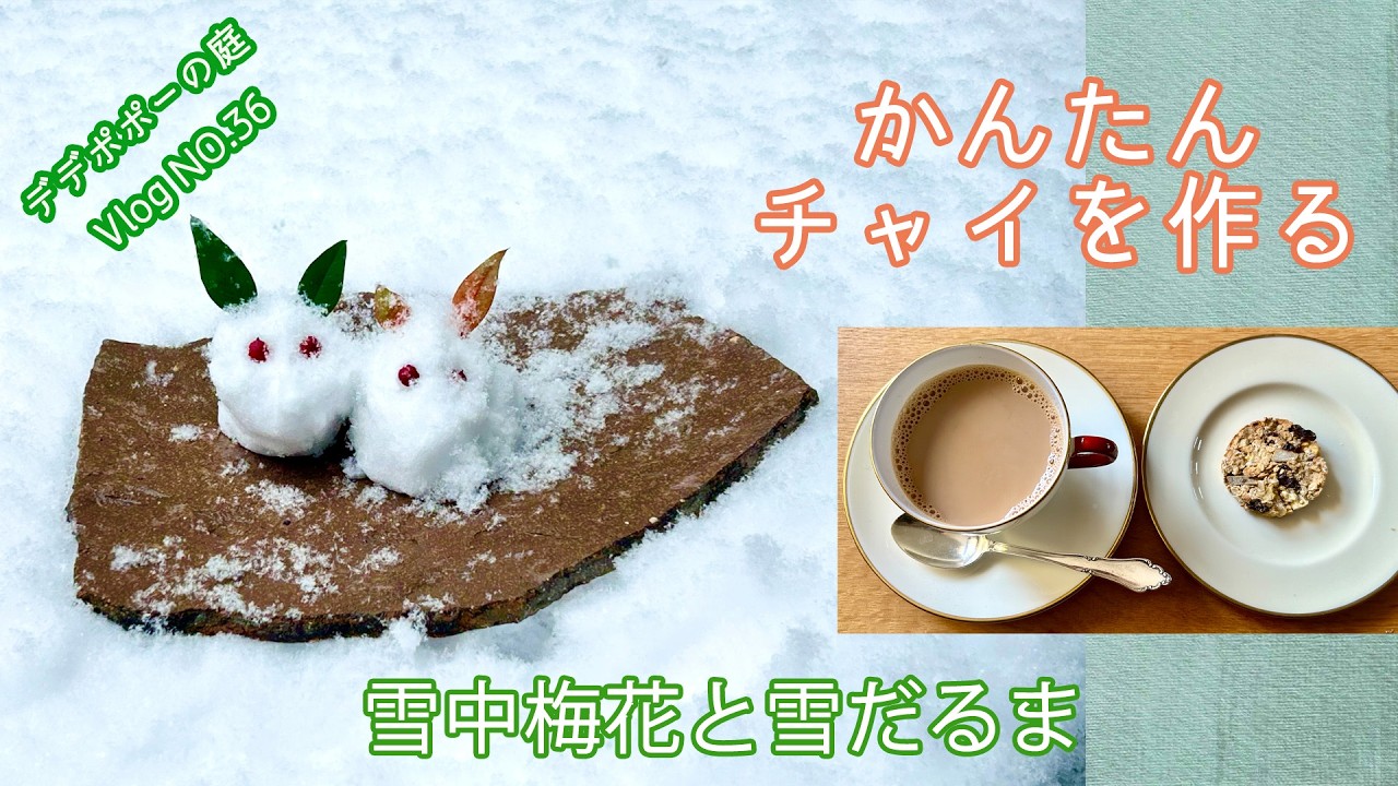 【60代ゆるく愛でる暮しNO.36】かんたん豆乳チャイ 朝ごはんに加えた物. 雪中梅花と雪だるま オートミールクッキーを作りながら考える