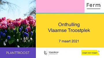 Opening Vlaamse troostplek Ferm