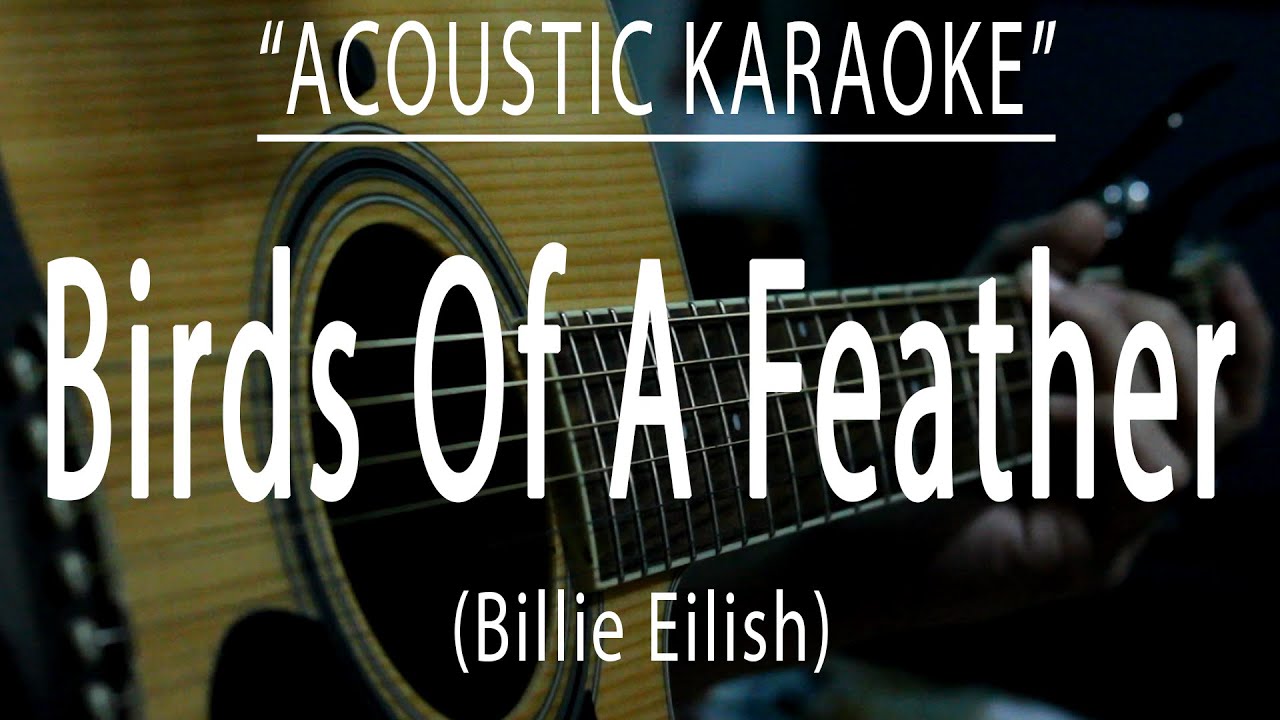 Birds Of A Feather - Billie Eilish (Acoustic karaoke) Birds Of A Feather - Billie Eilish (Acoustic karaoke)