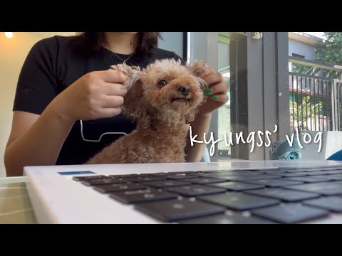 일상 브이로그 | 댕댕이 유치원 알바 그리고 운동 자소서 | 갓생 살기 | 알바 브이로그 | 학원 알바 | 일상 vlog