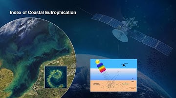 Tool Time with Dave (October 20) Databases & Decision Support