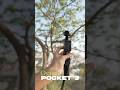 DJI Osmo Pocket 3 Now Supports Mic 2 + Mic Mini Simultaneously #dji