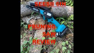 Seesii 6 in Chain Saw Review
