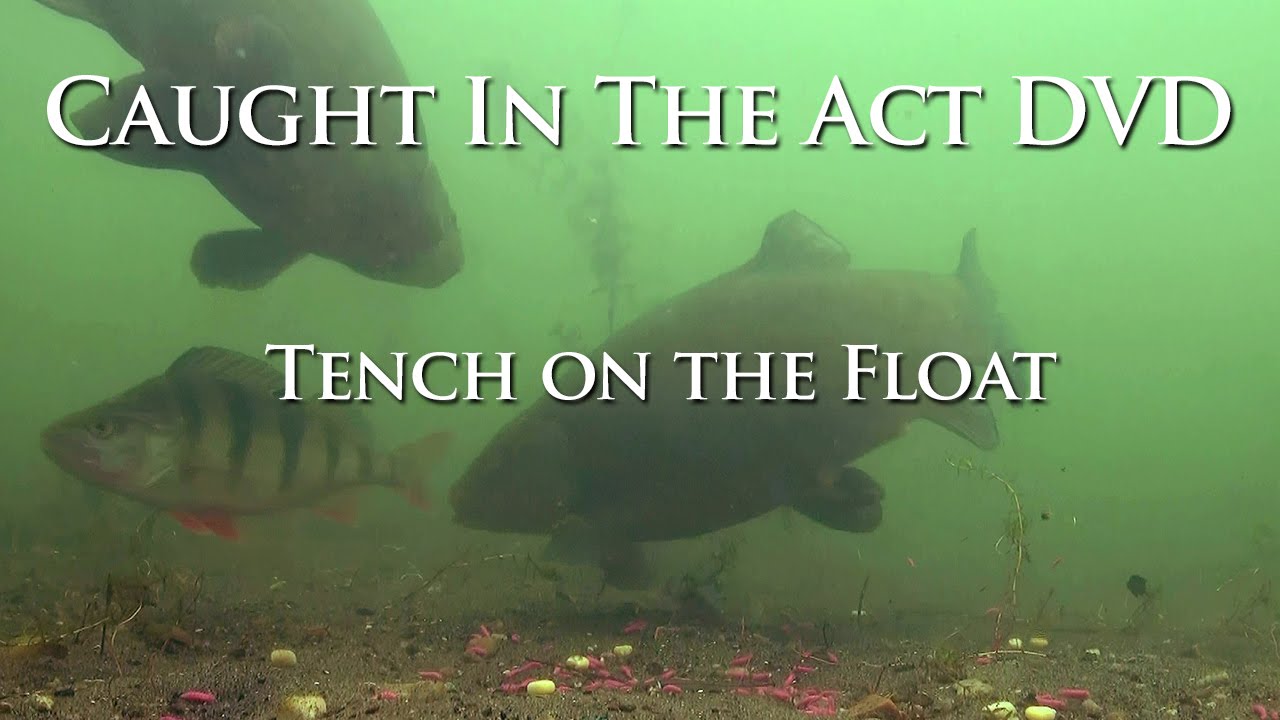 Tench on the Float - Caught In The Act DVD 