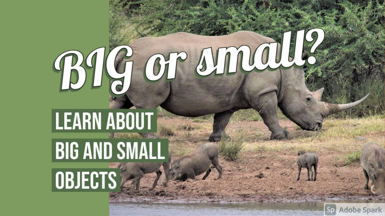 Fun Adventure Learning About Big And Small Objects 4K | Fun Kids ...
