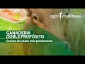 Ganadería Doble Propósito | Produce leche y carne de manera eficiente
