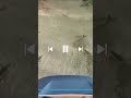 I don’t even know what happened #crash #mtb #fail #biketrails