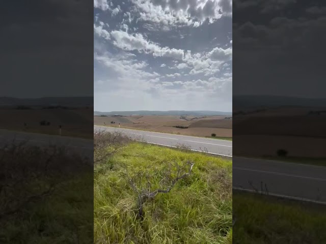 CAMPO