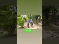 नृत्य #shorts #shortsviral #primaryschool #youtubeshort #yt #ytshort #viralshort #explore #marwadi