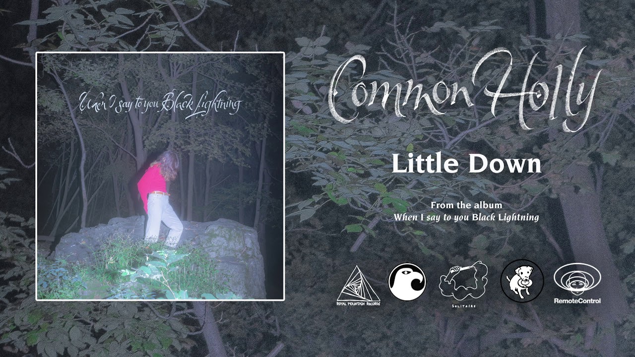 Common Holly - Little Down