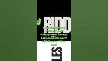 "Embark on a journey with #EnigmaQuests! 🧩💬 #DecodeTheSecrets"