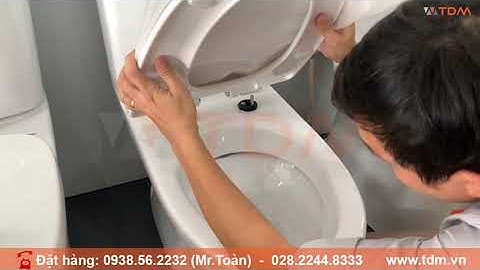 TDM.VN | Hướng dẫn cách lắp đặt nắp bồn cầu Inax CF-600VS cho bàn cầu 1 khối 2 khối thay mới