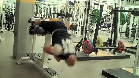 Self Made Exercise Index:  Back Hypers with Twists