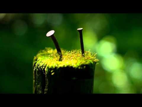 【作業用BGM】目と耳で楽しむ一曲【長い雨】