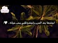 قصة اجتمعنا بعد الحرب واجتمع قلبي بحب حياته