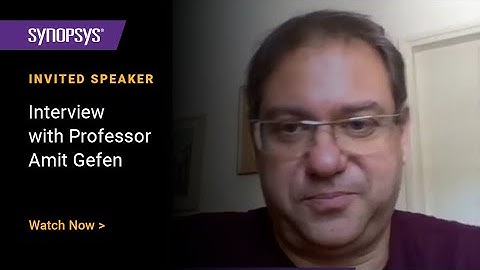 Synopsys Simpleware Interview with Professor Amit Gefen