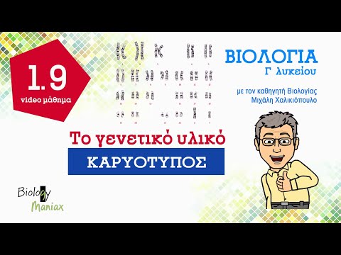 Βίντεο: Στη μετάφαση της μίτωσης κάθε χρωμόσωμα αποτελείται από;