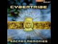 Cybertribe - Voices (From A Distant Planet)
