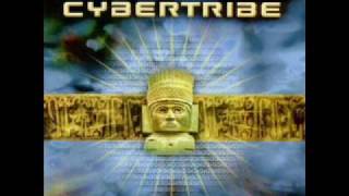 Cybertribe - Voices (From A Distant Planet)