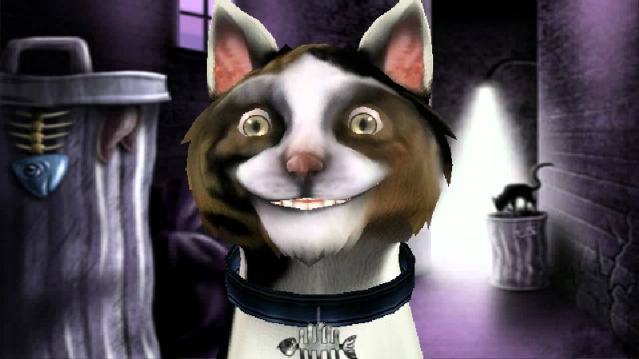 Télécharger gratuitement Images Le Chat Qui Sacre Youtube actualisé par