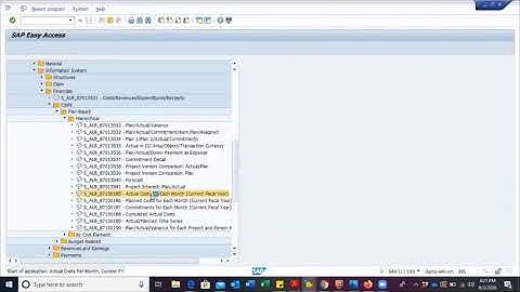 SAP S/4HANA Project System - Run Actuals per month for current fiscal year report