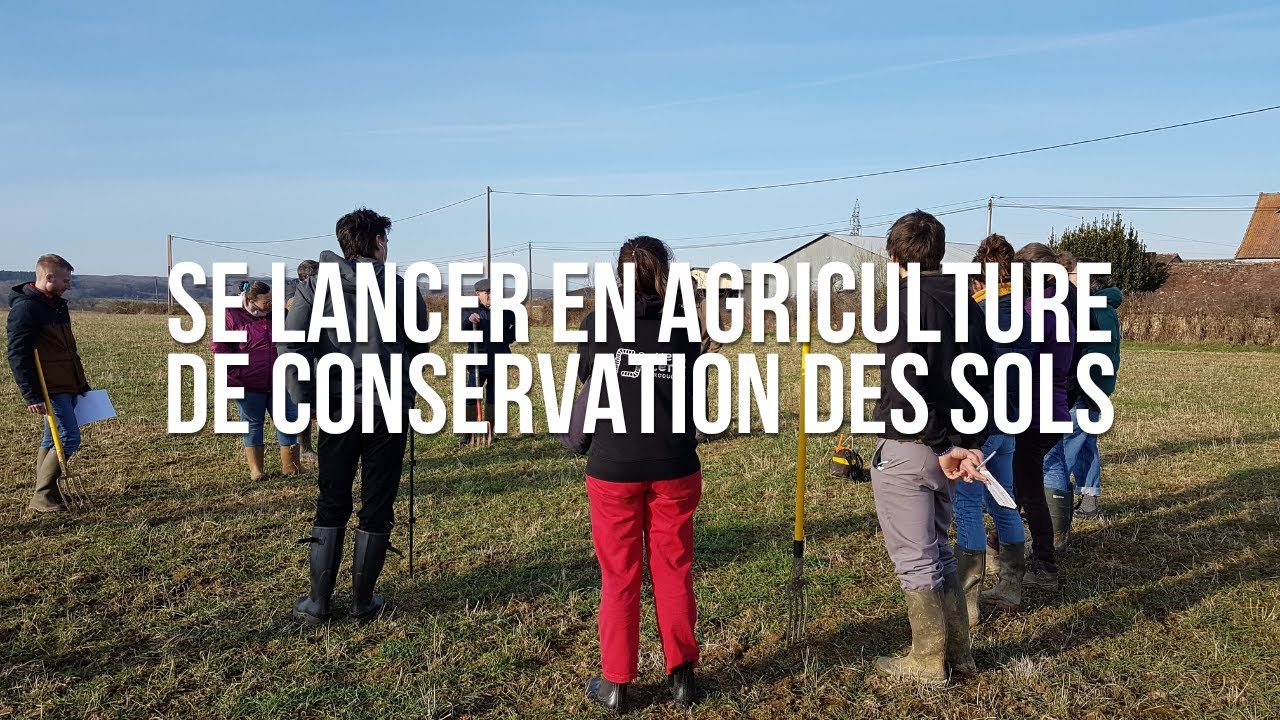 Formation exclusive : Se lancer en Agriculture de Conservation des Sols ...