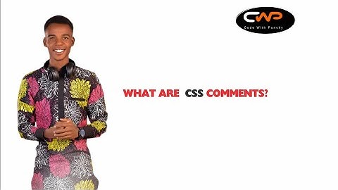 What are CSS COMMENTS @codewithpunchy