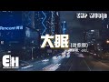 cici_ - 大眠 (治愈版)『都快忘了怎樣戀一個愛，我被虛度了的青春也許還能活過來，說心疼我的更應該明白。』【動態歌詞/Vietsub/Pinyin Lyrics】