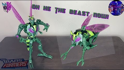 PREPARE YOUR RAID! | TRANSFORMERS ANIMATED WASPINATOR! (Transformers Video Reviews) 