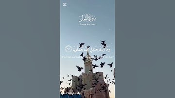 تلاوة من سورة النمل بصوت إسلام صبحي